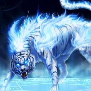 Meet your Posher, Jim